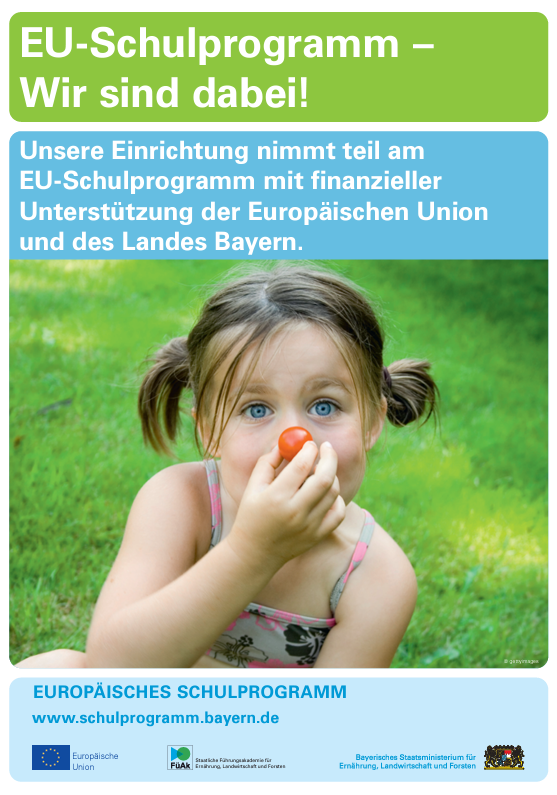 Europäisches Schulprogramm